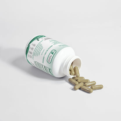 Ginkgo Biloba + Ginseng